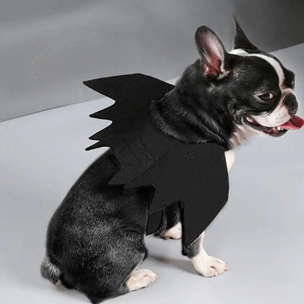Disfraz halloween gato perro alas murcielago con arnes ultraligeras mascota - Vista 5