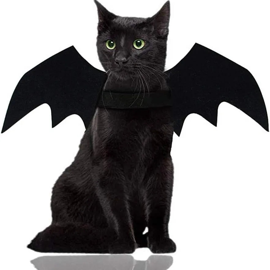 Disfraz halloween gato perro alas murcielago con arnes ultraligeras mascota