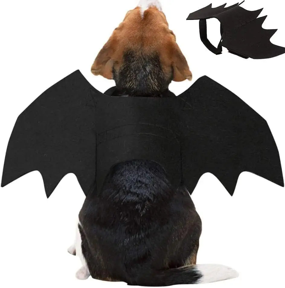 Disfraz halloween gato perro alas murcielago con arnes ultraligeras mascota - Vista 3